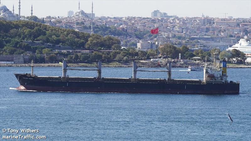 velvet rose (Bulk Carrier) - IMO 9281968, MMSI 352980804, Call Sign 3E3541 under the flag of Panama