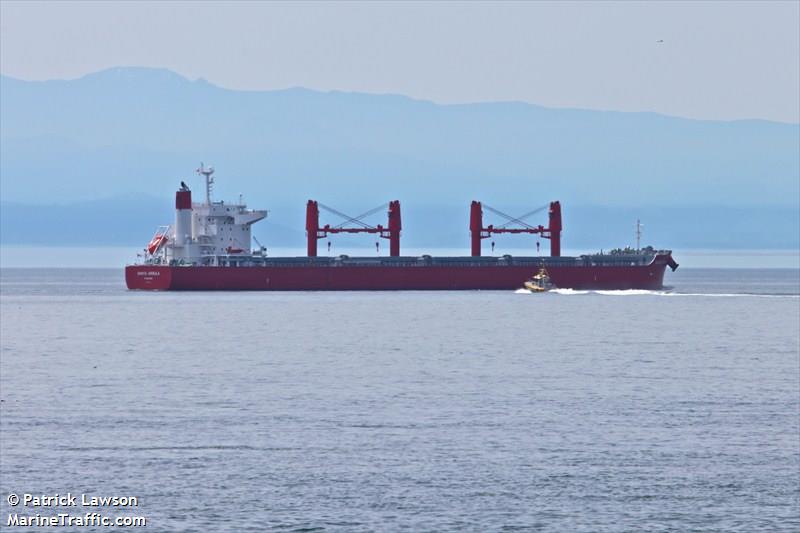 pelican unity (Offshore Tug/Supply Ship) - IMO 9894882, MMSI 373534000, Call Sign HP4974 under the flag of Panama