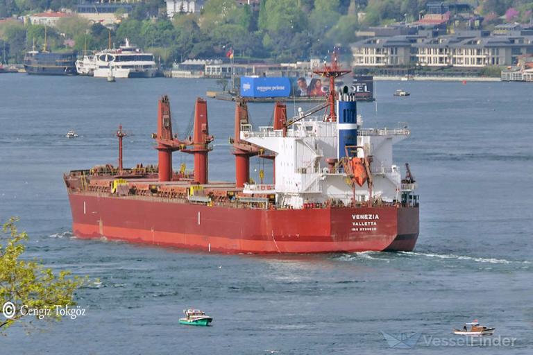 venezia (Bulk Carrier) - IMO 9799628, MMSI 248457000, Call Sign 9HA4659 under the flag of Malta