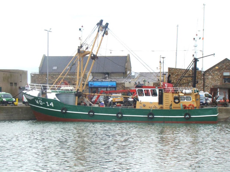 willie wd14 (Fishing vessel) - IMO , MMSI 250000557, Call Sign EI8544 under the flag of Ireland