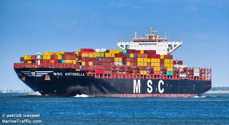 msc antonella (Container Ship) - IMO 9702273, MMSI 255805859, Call Sign CQZF under the flag of Madeira