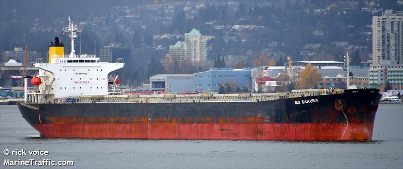 mg sakura (Bulk Carrier) - IMO 9331529, MMSI 256709000, Call Sign 9HA3987 under the flag of Malta