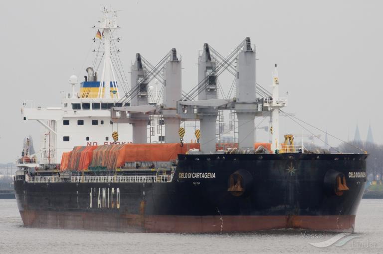 arcadia (Bulk Carrier) - IMO 9695640, MMSI 256820000, Call Sign 9HA4016 under the flag of Malta