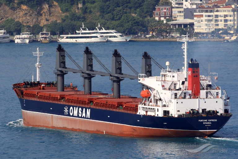 fortune express (Bulk Carrier) - IMO 9181728, MMSI 271042197, Call Sign TCYU4 under the flag of Turkey