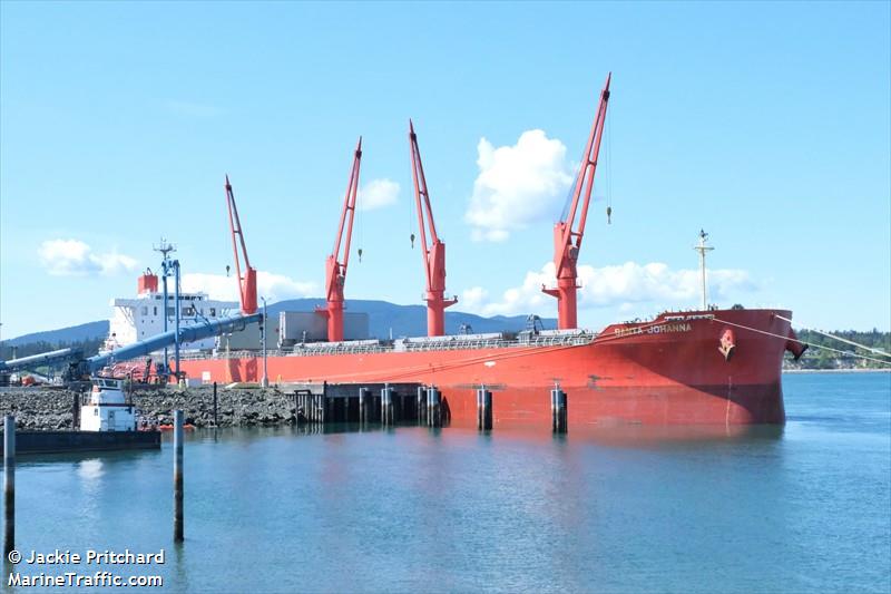 santa johanna (Bulk Carrier) - IMO 9806782, MMSI 351526000, Call Sign 3FMD4 under the flag of Panama