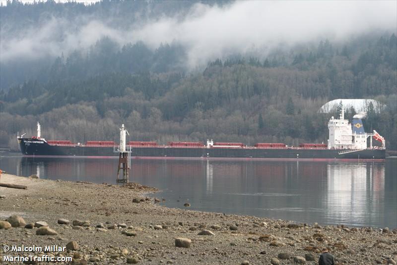 golden empress (Bulk Carrier) - IMO 9481441, MMSI 477962300, Call Sign VRHM9 under the flag of Hong Kong