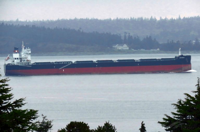 artemis i (Bulk Carrier) - IMO 9830991, MMSI 538008014, Call Sign V7SB8 under the flag of Marshall Islands