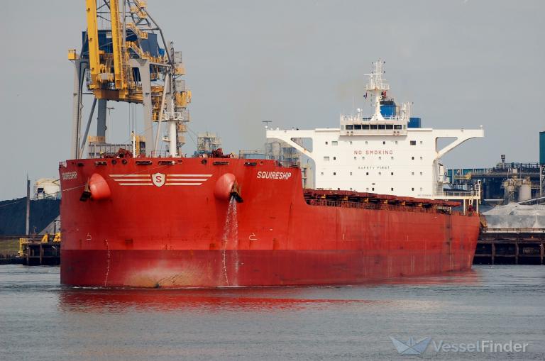 squireship (Bulk Carrier) - IMO 9391646, MMSI 636017230, Call Sign D5JW7 under the flag of Liberia