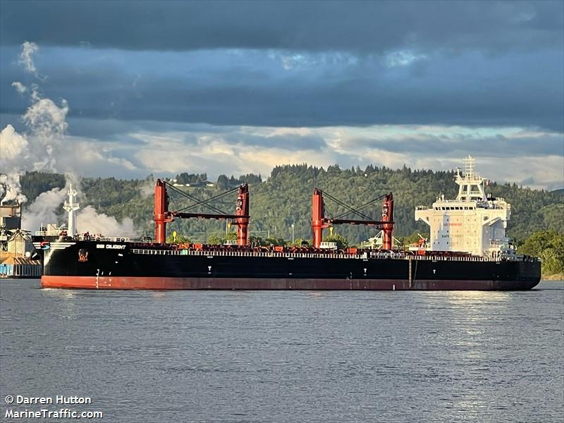 ssi diligent (Bulk Carrier) - IMO 9919022, MMSI 538009356, Call Sign V7A4634 under the flag of Marshall Islands