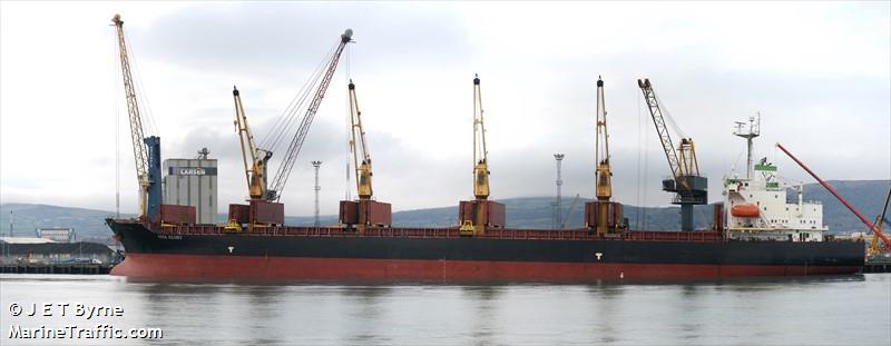 viva glory (Bulk Carrier) - IMO 9219446, MMSI 352001113, Call Sign 3E3395 under the flag of Panama