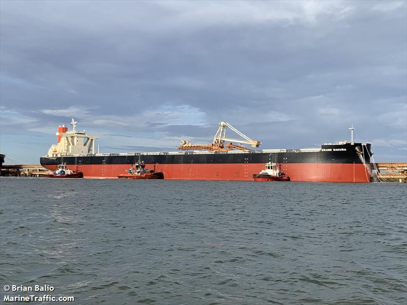 grand sakura (Bulk Carrier) - IMO 9913949, MMSI 431614000, Call Sign 7KKP under the flag of Japan