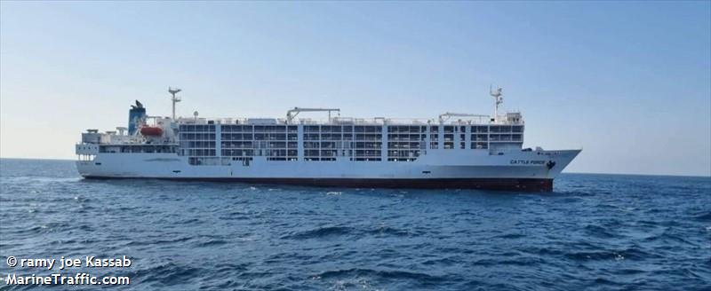 cattle force (Livestock Carrier) - IMO 9175901, MMSI 671028100, Call Sign 5VFR9 under the flag of Togolese Rep