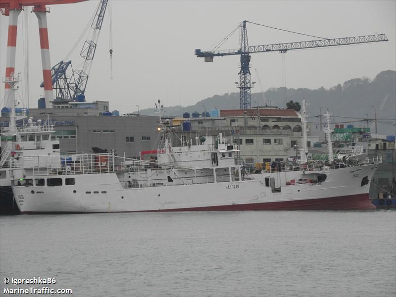 rys (Fishing Vessel) - IMO 9005314, MMSI 273371750, Call Sign UBFN2 under the flag of Russia