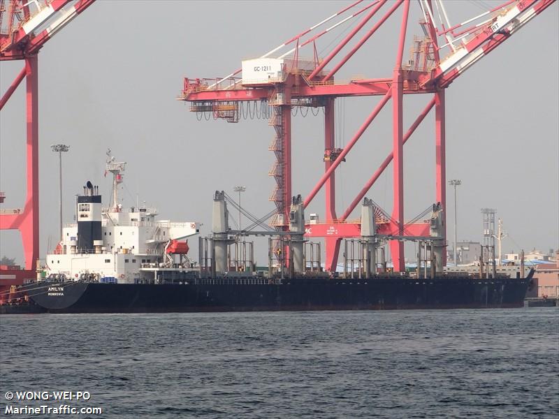 amilyn (Bulk Carrier) - IMO 9728368, MMSI 636021487, Call Sign 5LED9 under the flag of Liberia