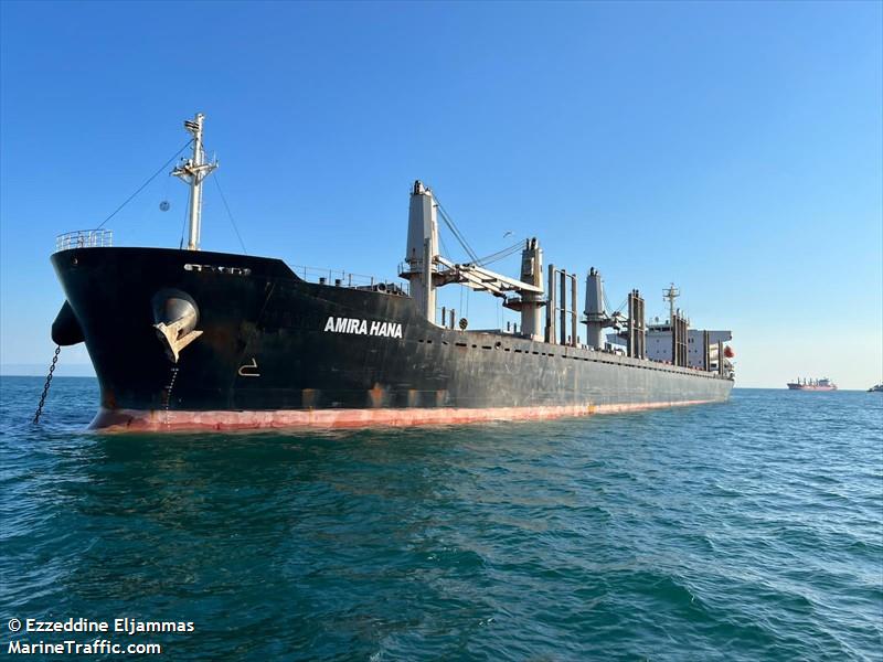 amira hana (Bulk Carrier) - IMO 9672210, MMSI 314611000, Call Sign 8PBI3 under the flag of Barbados