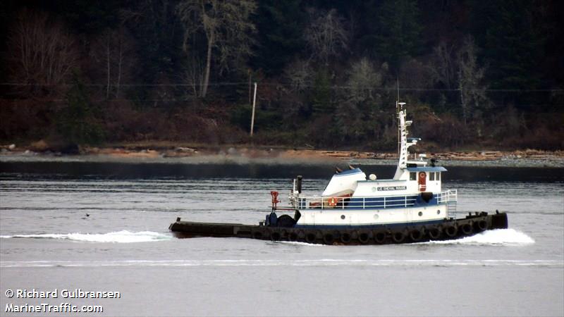 le cheval rouge (Tug) - IMO 7501091, MMSI 367190440, Call Sign WDD7731 under the flag of United States (USA)