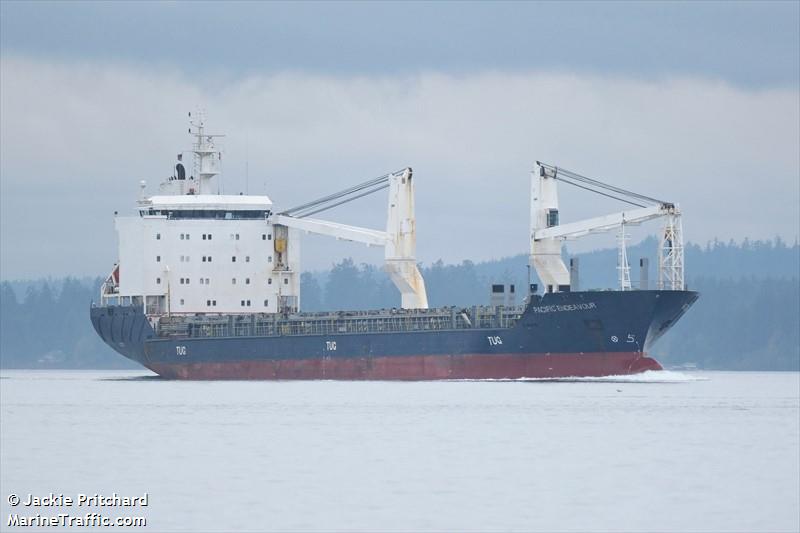 pacific endeavour (General Cargo Ship) - IMO 9358022, MMSI 636021429, Call Sign D5SO2 under the flag of Liberia