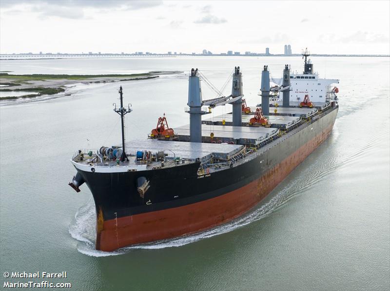 fjord pearl (Bulk Carrier) - IMO 9460796, MMSI 311001136, Call Sign C6FK9 under the flag of Bahamas