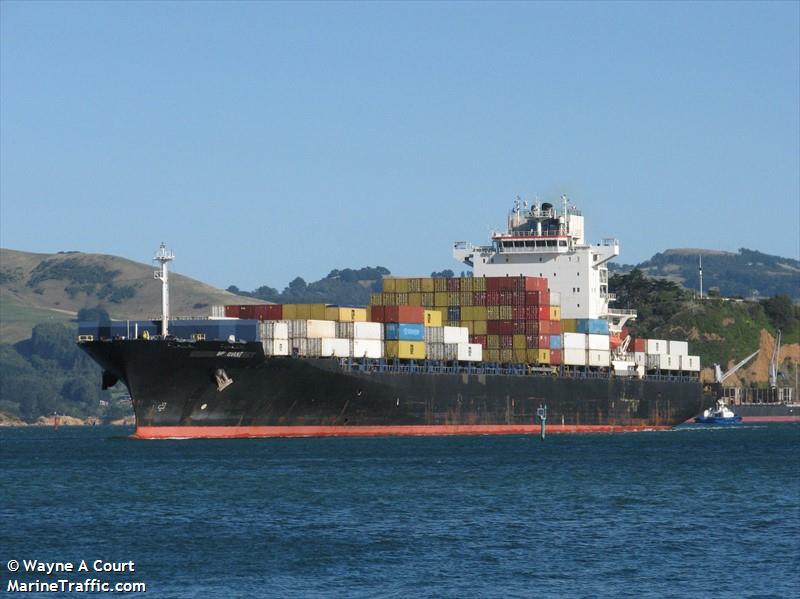 bf giant (Container Ship) - IMO 9442172, MMSI 636093069, Call Sign A8UK9 under the flag of Liberia