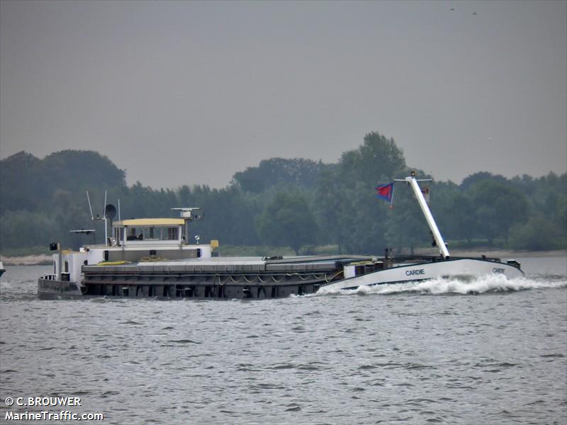 cardie (Cargo ship) - IMO , MMSI 244690188, Call Sign PF6012 under the flag of Netherlands