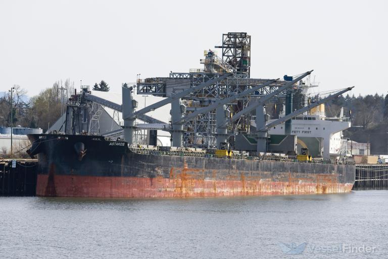 astakos (Bulk Carrier) - IMO 9552343, MMSI 256785000, Call Sign 9HA4009 under the flag of Malta