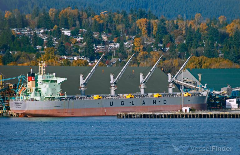 fermita (Bulk Carrier) - IMO 9881380, MMSI 257620000, Call Sign LAKO8 under the flag of Norway