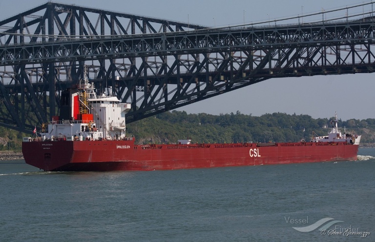 spruceglen (Bulk Carrier) - IMO 8119261, MMSI 316001844, Call Sign VOSL under the flag of Canada