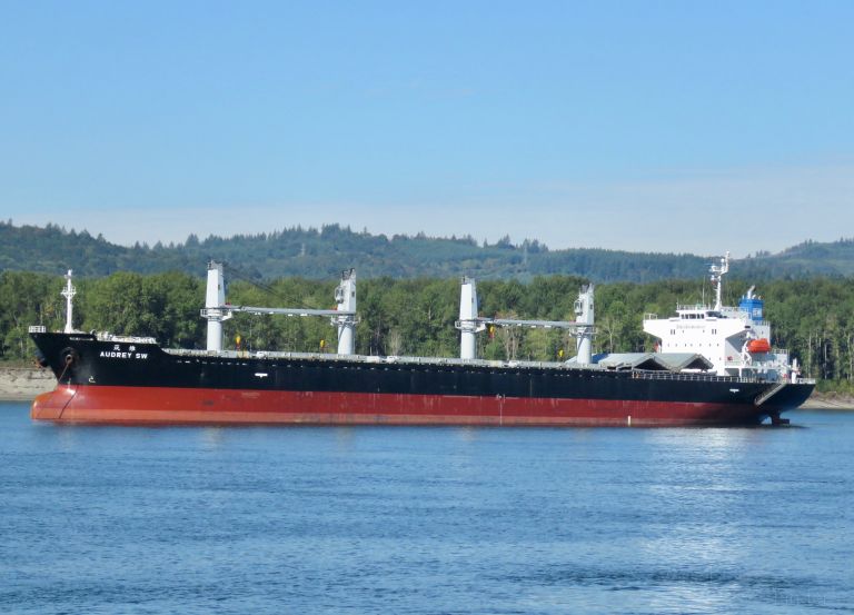 audrey sw (Bulk Carrier) - IMO 9597422, MMSI 352166000, Call Sign 3FMS7 under the flag of Panama
