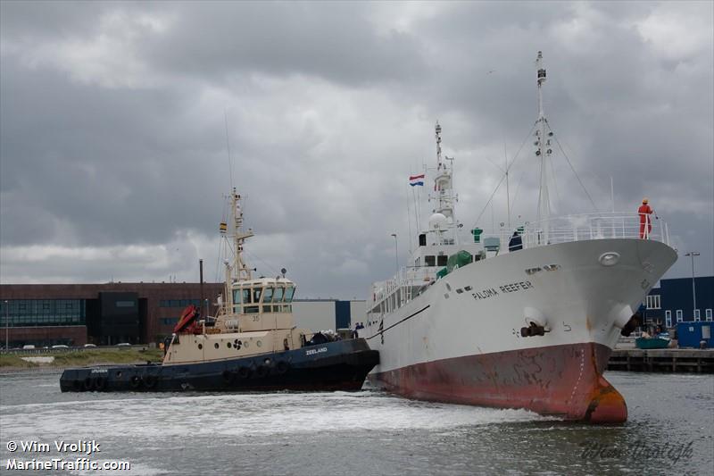 paloma reefer (Refrigerated Cargo Ship) - IMO 9309681, MMSI 355636000, Call Sign HP7151 under the flag of Panama