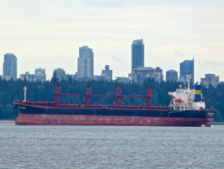 ameena jahan (Bulk Carrier) - IMO 9538945, MMSI 405000293, Call Sign S2BF3 under the flag of Bangladesh