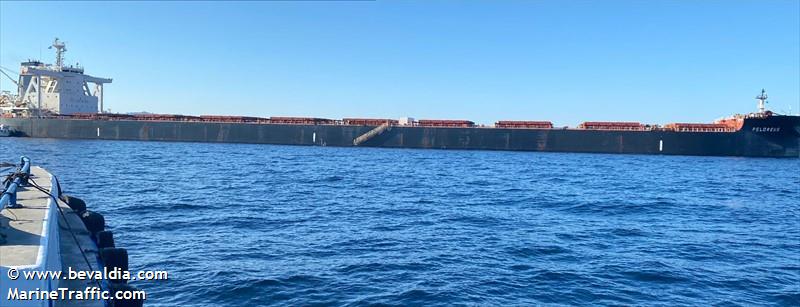 peloreus (Bulk Carrier) - IMO 9702534, MMSI 538005739, Call Sign V7GP2 under the flag of Marshall Islands