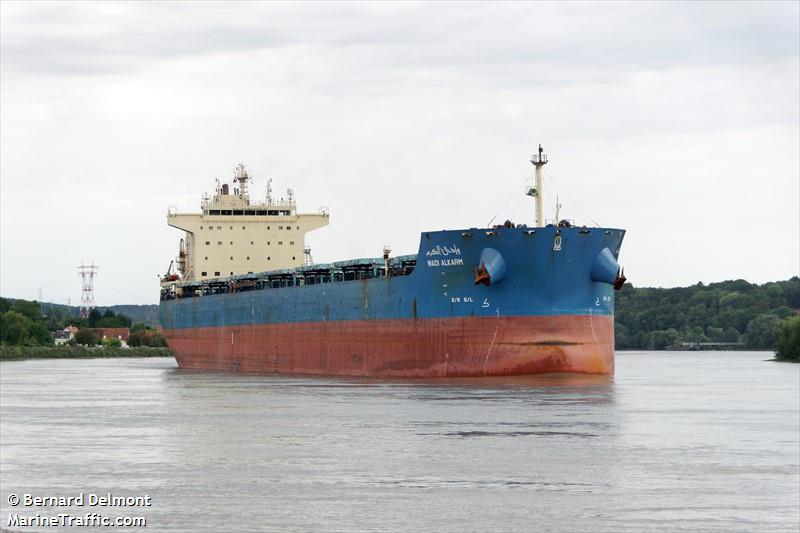 wadi alkarm (Bulk Carrier) - IMO 9460760, MMSI 622121414, Call Sign 6AGT under the flag of Egypt