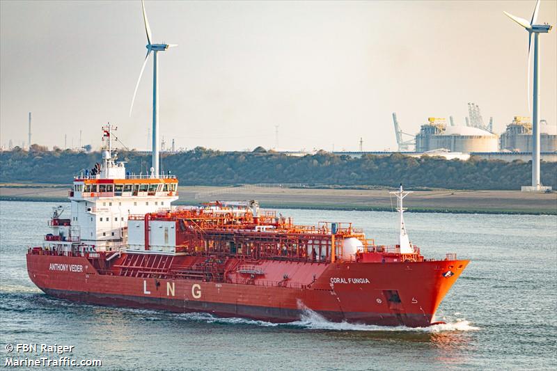 coral fungia (Liquefied Gas) - IMO 9378292, MMSI 636018930, Call Sign D5SB8 under the flag of Liberia