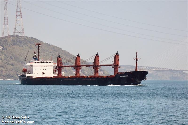 white shark (Bulk Carrier) - IMO 9065572, MMSI 667001719, Call Sign 9LU2522 under the flag of Sierra Leone