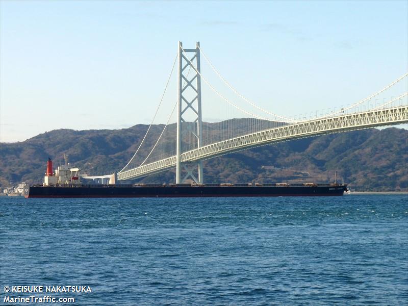 netadola (Bulk Carrier) - IMO 9406453, MMSI 538009881, Call Sign V7A5287 under the flag of Marshall Islands