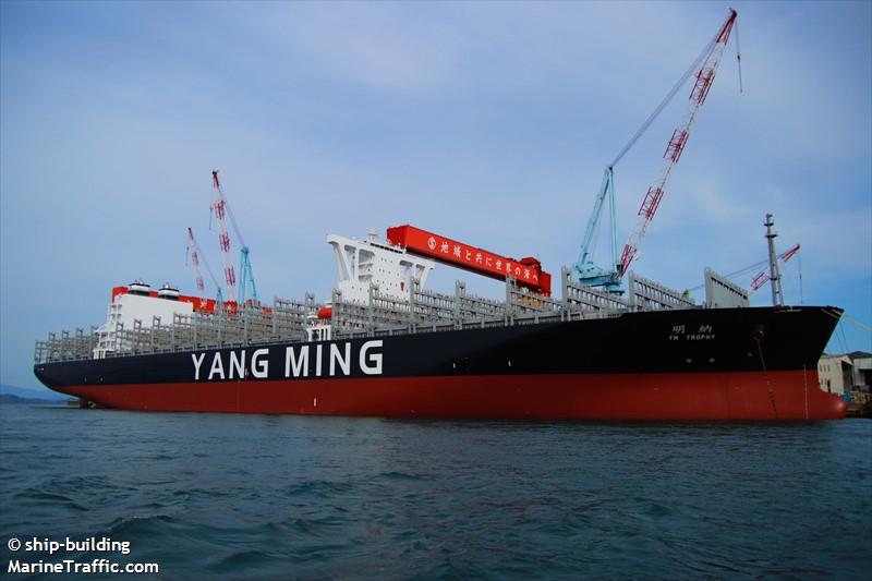 ym trophy (Container Ship) - IMO 9789996, MMSI 563155200, Call Sign 9V6598 under the flag of Singapore