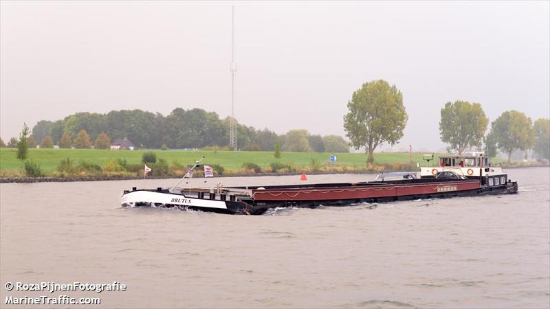 brutus (Cargo ship) - IMO , MMSI 205352690, Call Sign OT3526 under the flag of Belgium