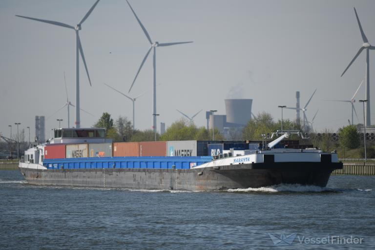 maranta (Cargo ship) - IMO , MMSI 205548190, Call Sign OT5481 under the flag of Belgium