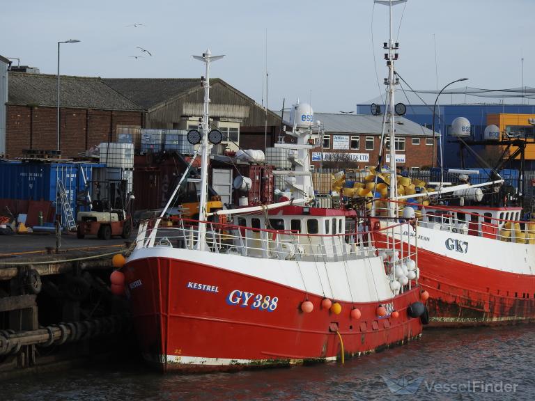 kestrel (Fishing vessel) - IMO , MMSI 235000280, Call Sign MBQM7 under the flag of United Kingdom (UK)
