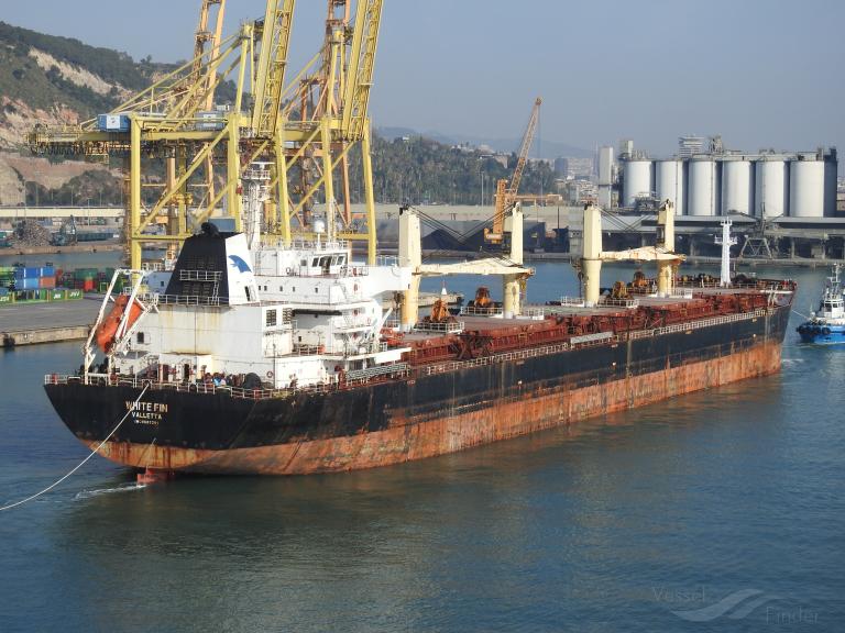 white fin (Bulk Carrier) - IMO 9607291, MMSI 256608000, Call Sign 9HA2891 under the flag of Malta