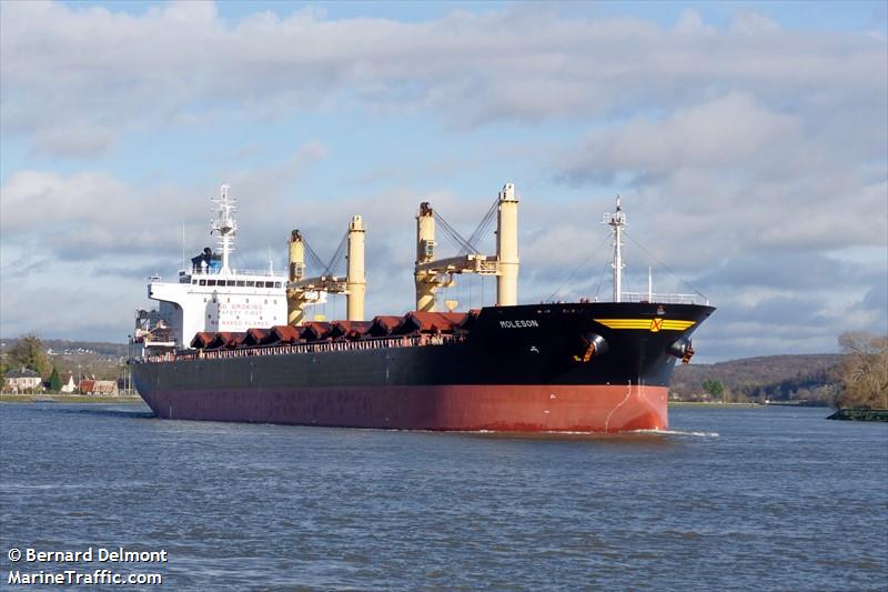 moleson (Bulk Carrier) - IMO 9542831, MMSI 269039000, Call Sign HBLE under the flag of Switzerland