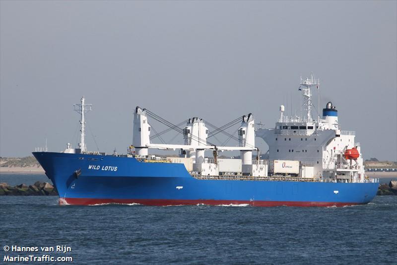 wild lotus (Refrigerated Cargo Ship) - IMO 9181168, MMSI 311000834, Call Sign C6DZ2 under the flag of Bahamas