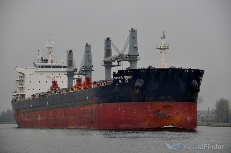 pacific merit (Bulk Carrier) - IMO 9731987, MMSI 477148900, Call Sign VRRE7 under the flag of Hong Kong