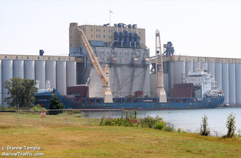 timgad (General Cargo Ship) - IMO 9697337, MMSI 605086080, Call Sign 7THH under the flag of Algeria