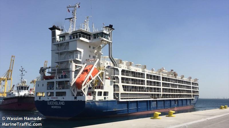 queensland (Livestock Carrier) - IMO 9186390, MMSI 636017944, Call Sign D5NL8 under the flag of Liberia