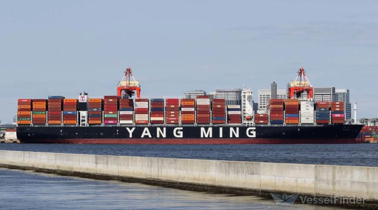 ym triumph (Container Ship) - IMO 9860908, MMSI 636019982, Call Sign D5XC3 under the flag of Liberia