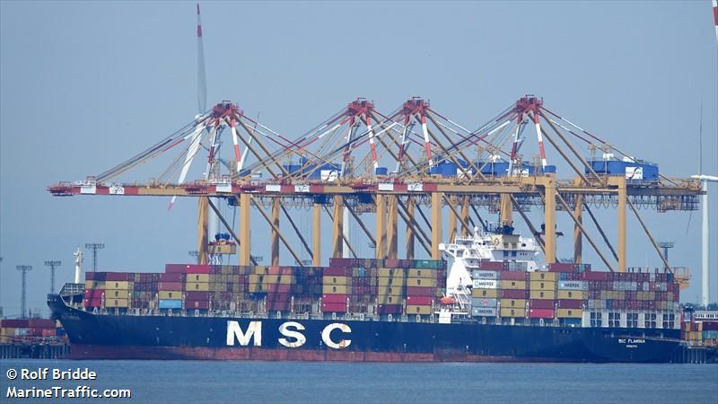 msc flaminia (Container Ship) - IMO 9225615, MMSI 636092910, Call Sign D5TZ4 under the flag of Liberia