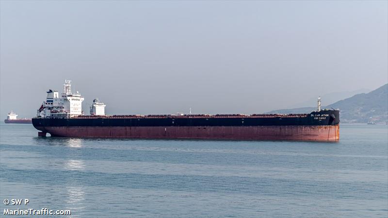 dl carnation (Bulk Carrier) - IMO 9618680, MMSI 636021714, Call Sign 5LFI7 under the flag of Liberia
