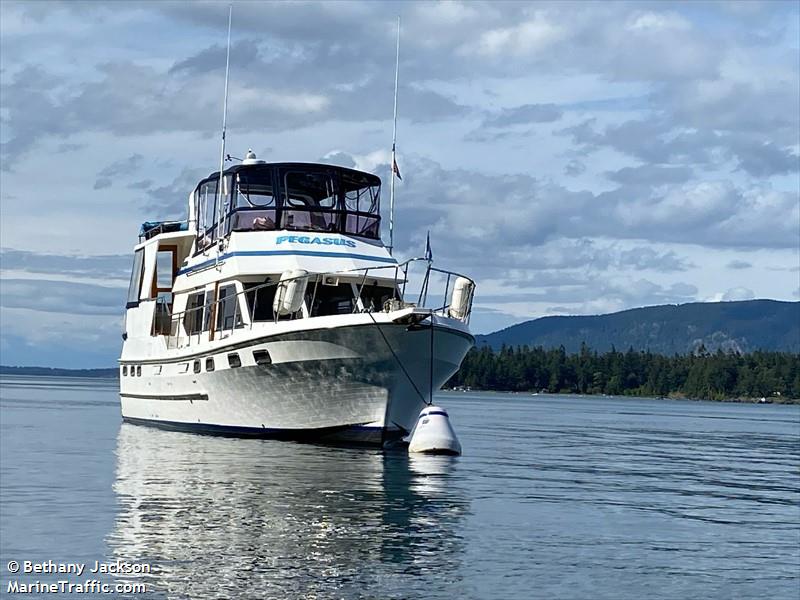pegasus (Pleasure craft) - IMO , MMSI 367624000, Call Sign WDM6616 under the flag of United States (USA)