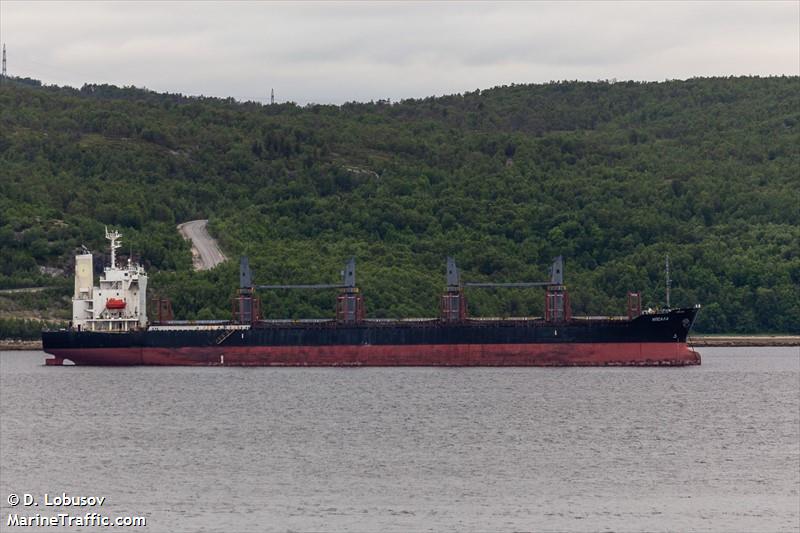 pola imabari (Bulk Carrier) - IMO 9759666, MMSI 273615220, Call Sign UBPX2 under the flag of Russia
